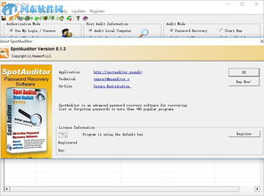 spotauditor下載 spotauditor 密碼恢復(fù)軟件 5.2.4 免費版 河?xùn)|下載站