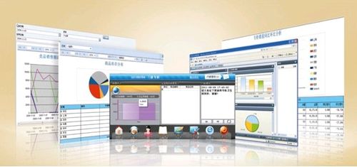 收銀系統(tǒng)軟件 收銀機(jī)軟件 便利店收銀軟件